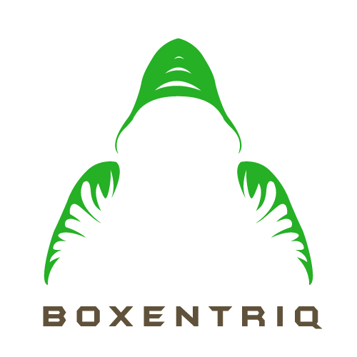 Boxentriq hacker